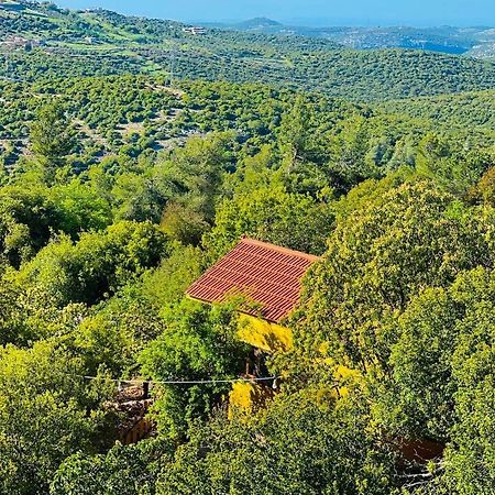 Ajloun Wooden Huts اكواخ عجلون الخشبية Live Amid Nature Umm al Manabi Exterior photo