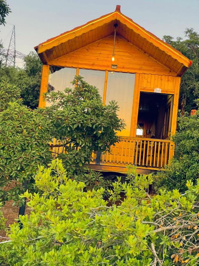 Ajloun Wooden Huts اكواخ عجلون الخشبية Live Amid Nature Umm al Manabi Exterior photo