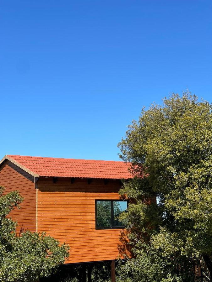 Ajloun Wooden Huts اكواخ عجلون الخشبية Live Amid Nature Umm al Manabi Exterior photo