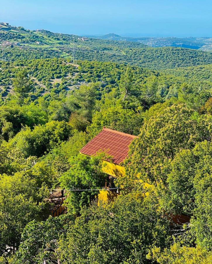 Ajloun Wooden Huts اكواخ عجلون الخشبية Live Amid Nature Umm al Manabi Exterior photo